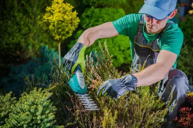 landscaping services Greentown